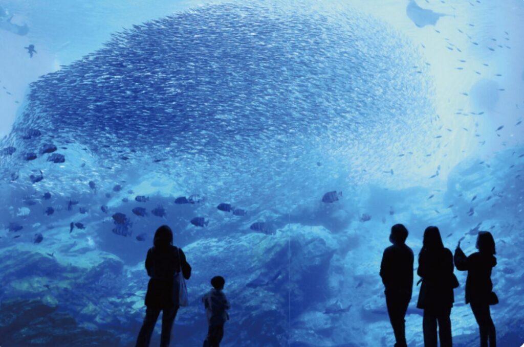 仙台うみの杜水族館